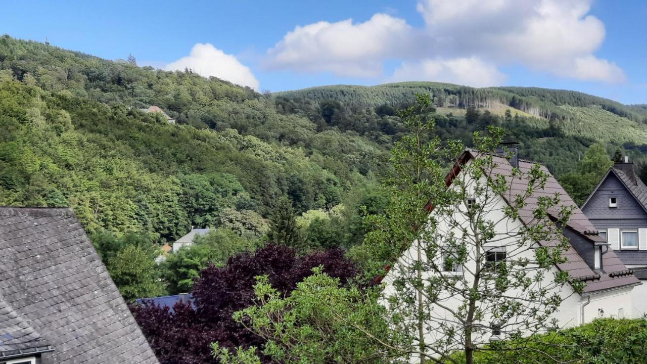 Yalet Ferienhaus 2 Appartementen Vlakbij Willingen Brilon-Wald 외부 사진