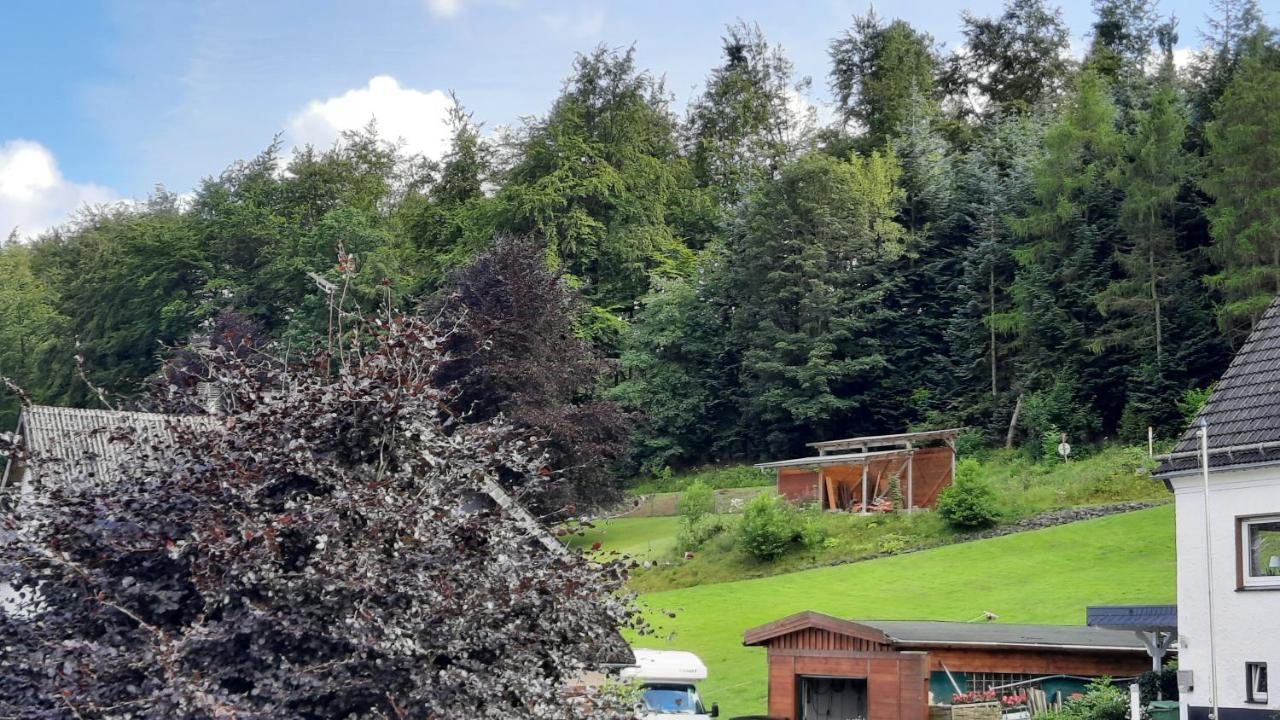 Yalet Ferienhaus 2 Appartementen Vlakbij Willingen Brilon-Wald 외부 사진