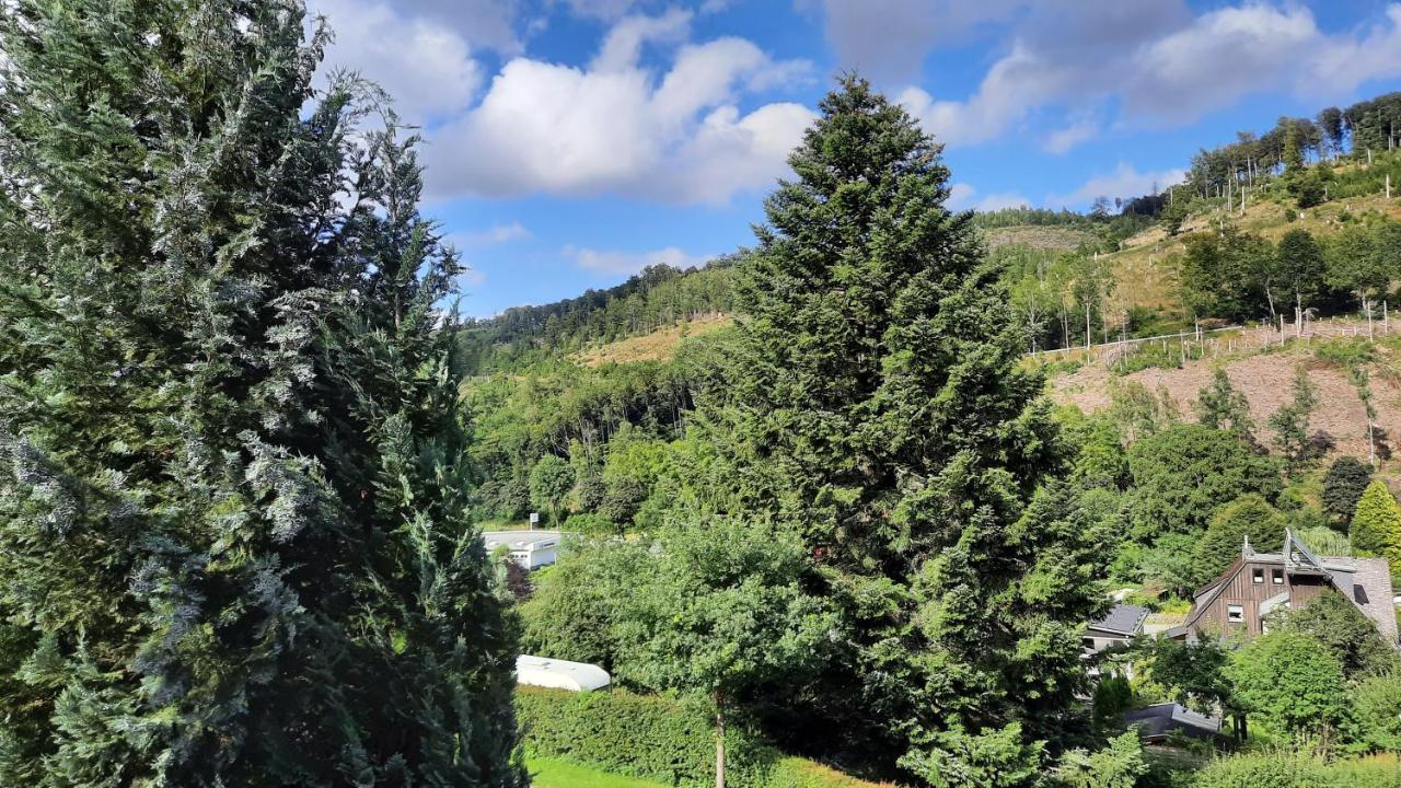 Yalet Ferienhaus 2 Appartementen Vlakbij Willingen Brilon-Wald 외부 사진