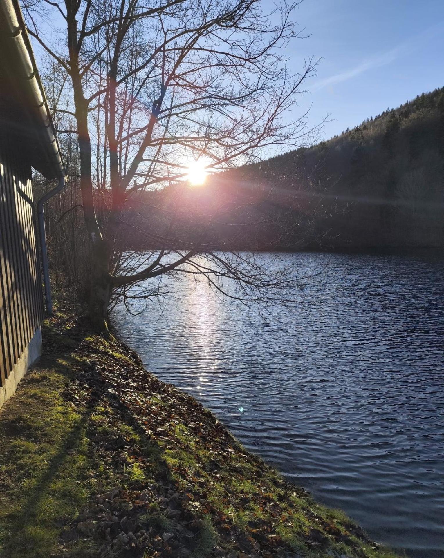 Yalet Ferienhaus 2 Appartementen Vlakbij Willingen Brilon-Wald 외부 사진