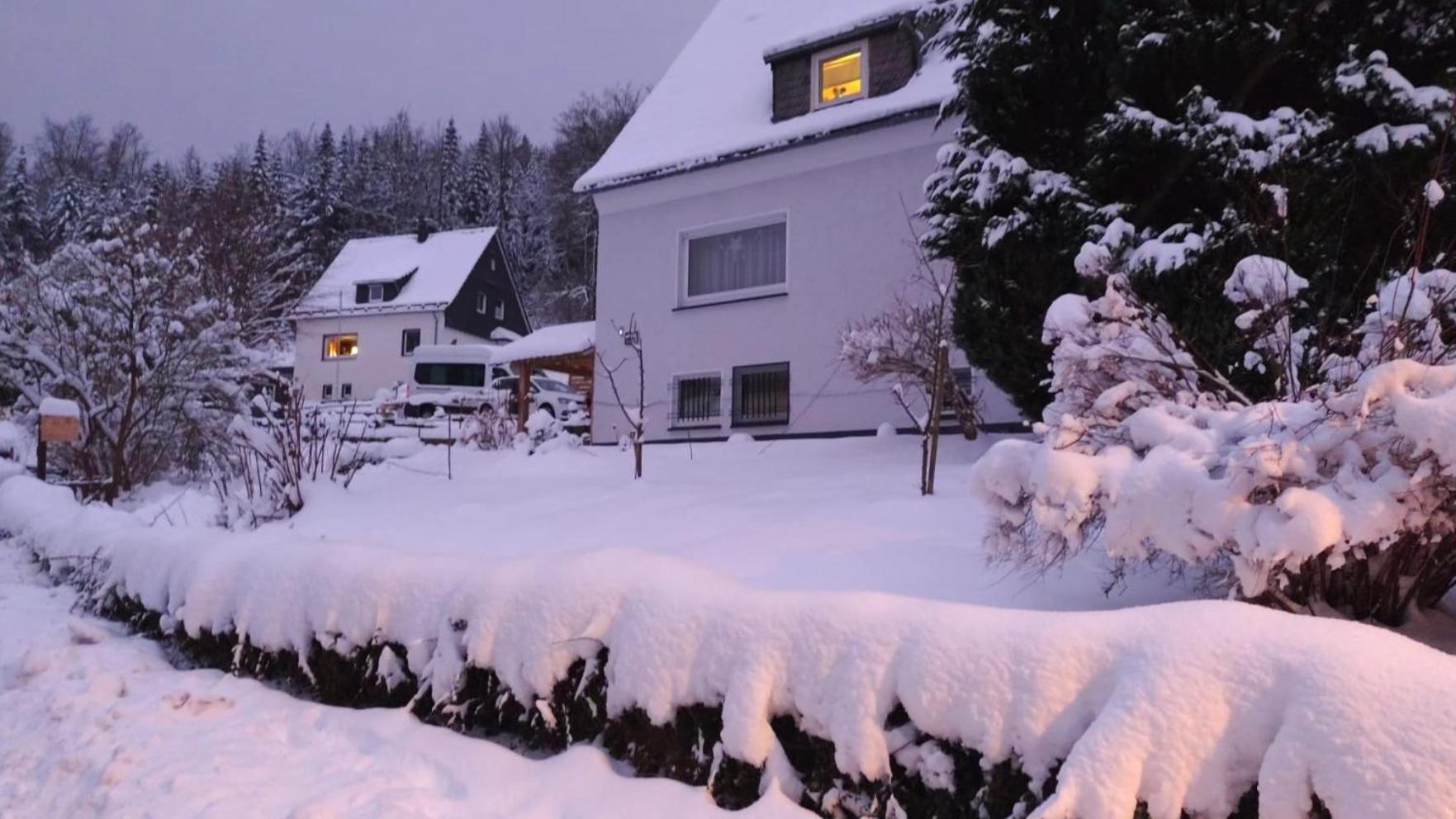 Yalet Ferienhaus 2 Appartementen Vlakbij Willingen Brilon-Wald 외부 사진